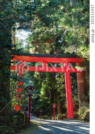 日本　神奈川県足柄下郡箱根町の芦ノ湖湖畔にある箱根神社の第三鳥居 101311437