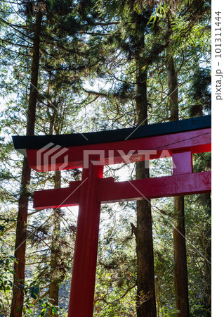 日本　神奈川県足柄下郡箱根町の芦ノ湖湖畔にある箱根神社の第三鳥居 101311444
