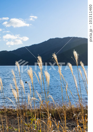 日本 神奈川県足柄下郡箱根町の桃源台港からの芦ノ湖 日本 神奈川県足柄下郡箱根町の桃源台港からの芦ノ湖 101311460