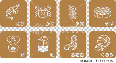 8大アレルゲン　食物アレルギー　アレルギー　アレルギー表示　8品 101311530