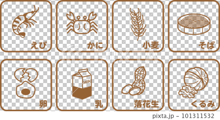 8大アレルゲン　食物アレルギー　アレルギー　アレルギー表示　8品 101311532