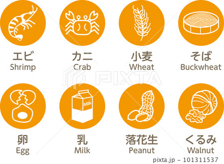 8大アレルゲン　食物アレルギー　アレルギー　アレルギー表示　8品 101311537