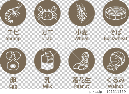 8大アレルゲン　食物アレルギー 101311539