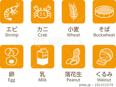 8大アレルゲン　食物アレルギー　アレルギー　アレルギー表示　8品 101311574