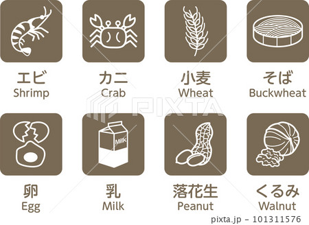8大アレルゲン　食物アレルギー　アレルギー　アレルギー表示　8品 101311576