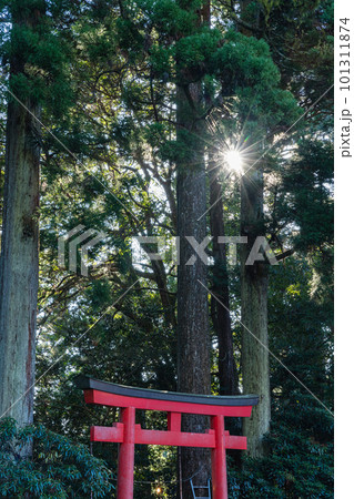 日本　神奈川県足柄下郡箱根町の芦ノ湖湖畔にある箱根神社の第五鳥居 101311874