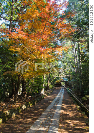 日本　神奈川県鎌倉市にある寿福寺の中門から総門までの参道と紅葉 101312150