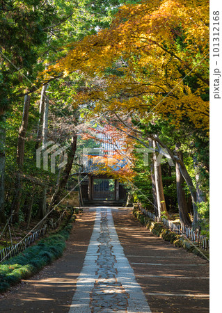 日本　神奈川県鎌倉市にある寿福寺の中門から総門までの参道と紅葉 101312168