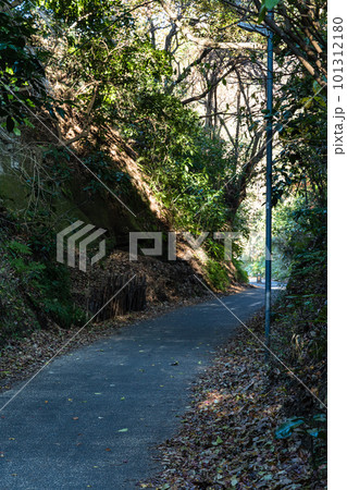 日本　神奈川県鎌倉市にある亀ヶ谷坂 101312180