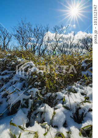 日本　神奈川県足柄下郡箱根町の駒ヶ岳の雪の積もった山頂広場 101312347