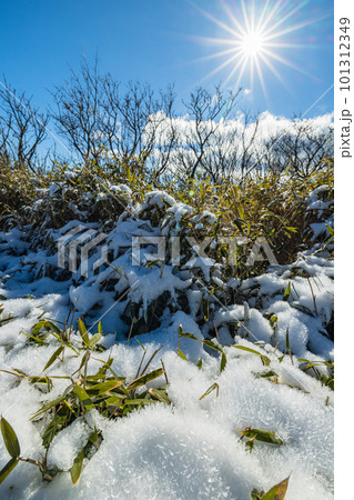 日本　神奈川県足柄下郡箱根町の駒ヶ岳の雪の積もった山頂広場 101312349