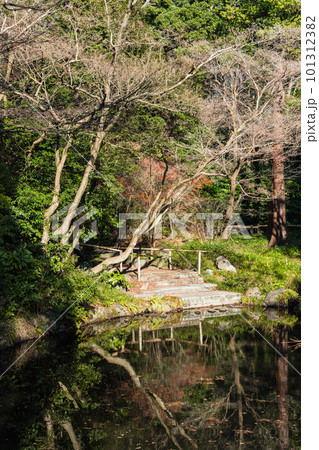 日本 神奈川県鎌倉市の鶴岡八幡宮の柳原神池 日本 神奈川県鎌倉市の鶴岡八幡宮の柳原神池 101312382