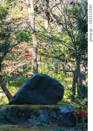 日本 神奈川県鎌倉市の鶴岡八幡宮の柳原神池脇にある菅裸馬句碑 日本 神奈川県鎌倉市の鶴岡八幡宮の柳原神池脇にある菅裸馬句碑 101312392