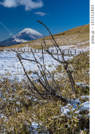 日本　神奈川県足柄下郡箱根町の駒ヶ岳山頂から見える富士山 101312805