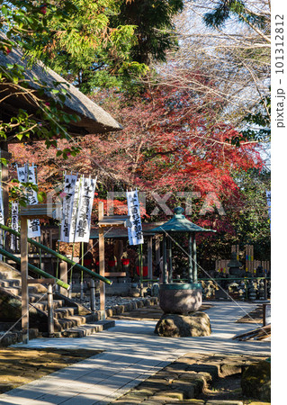日本　神奈川県鎌倉市にある杉本寺の観音堂と香炉と紅葉 101312812