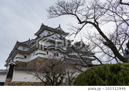 日本　兵庫県姫路市にある姫路城のにの門から見える小天守 101312946