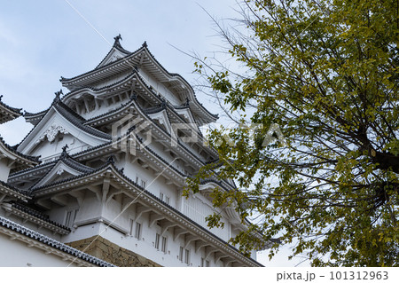 日本 兵庫県姫路市にある姫路城の備前丸跡から見える大天守 日本 兵庫県姫路市にある姫路城の備前丸跡から見える大天守 101312963