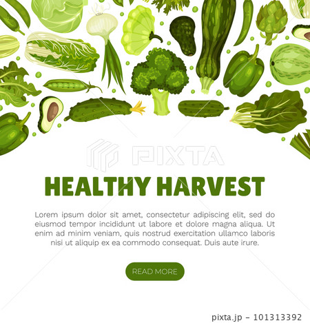 Green Vegetables Banner Design with Fresh Organic Food Vector Template 101313392
