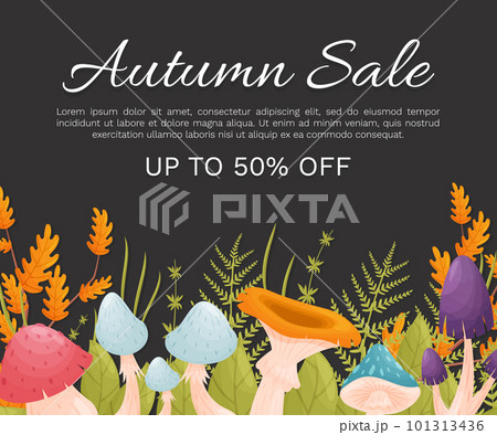 Forest Decor Banner Design with Mushroom and Leaf Vector Template Forest Decor Banner Design with Mushroom and Leaf Vector Template 101313436