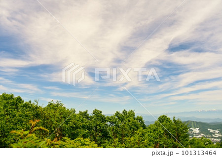 爽やかな初夏の空と新緑の林 爽やかな初夏の空と新緑の林 101313464
