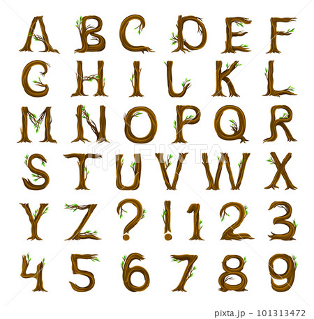 Forest Alphabet with Letters Arranged from Tree Trunks and Branches Big Vector Set 101313472