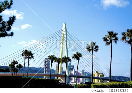 浜の宮ビーチ海水浴場からヤシの並木越しに見たサンブリッジの風景　和歌山市 101313525