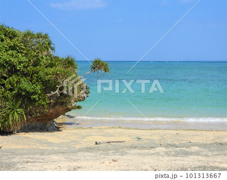 2023年　沖縄の海 101313667