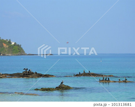 2023年 沖縄の海 2023年 沖縄の海 101313681
