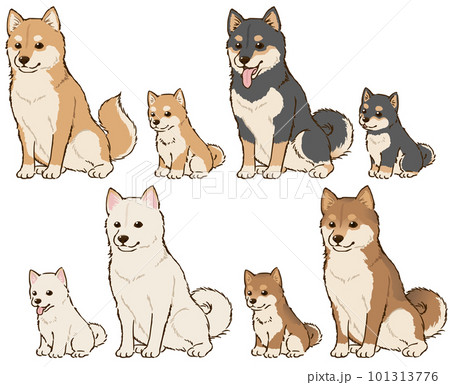 色々な毛色の柴犬親子 色々な毛色の柴犬親子 101313776