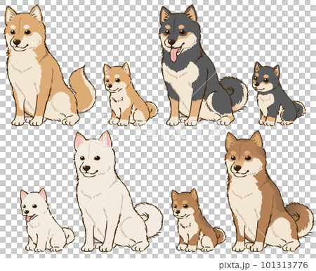 各種髮色的柴犬親子 101313776