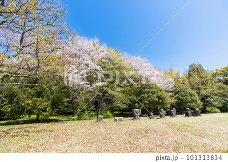 《福岡県》岩戸山古墳・弥生の広場　八女市八女古墳群 101313834