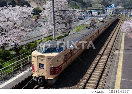 桜咲く木野山駅を通過する381系JNRマーク付国鉄色　特急やくも号 101314197
