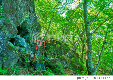 群馬県 榛名湖町の烏帽子ヶ岳山頂下の稲荷神社(加護丸稲荷大明神)と鳥居 101314477