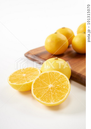 柑橘　湘南ゴールド　白背景 101315070