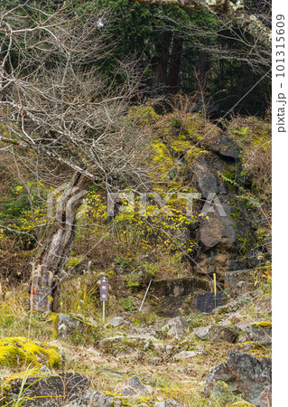 日本 兵庫県朝来市の立雲峡の展望台までの道 日本 兵庫県朝来市の立雲峡の展望台までの道 101315609