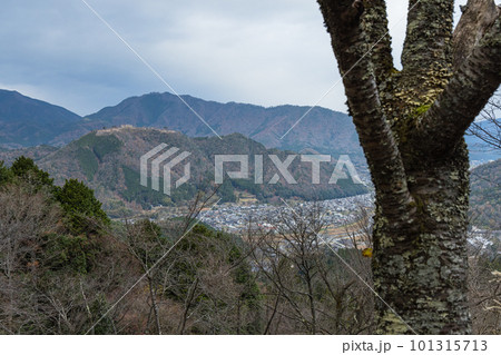 日本　兵庫県朝来市の立雲峡から見える早朝の雲海のない竹田城跡 101315713