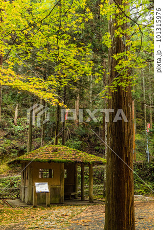 日本 福井県三方上中郡若狭町にあるの若狭瓜割名水公園の森中にある瓜割の滝の風景 日本 福井県三方上中郡若狭町にあるの若狭瓜割名水公園の森中にある瓜割の滝の風景 101315976