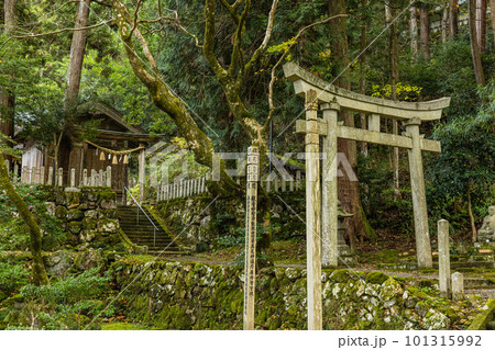 日本　福井県三方上中郡若狭町にあるの若狭瓜割名水公園にある岩上神社 101315992
