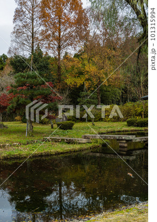 日本　福井県三方上中郡若狭町にあるの若狭瓜割名水公園の池と紅葉した木々 101315994