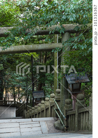 日本 香川県仲多度郡琴平町にある金刀比羅宮の三穂津姫神社からの下向道の鳥居 日本 香川県仲多度郡琴平町にある金刀比羅宮の三穂津姫神社からの下向道の鳥居 101316367