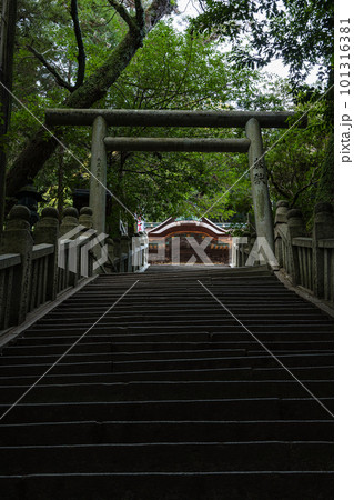 日本 香川県仲多度郡琴平町にある金刀比羅宮の下向道から見上げる鳥居と三穂津姫神社 日本 香川県仲多度郡琴平町にある金刀比羅宮の下向道から見上げる鳥居と三穂津姫神社 101316381