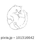 Cartoon line drawing of cat lay on its back. 101316642