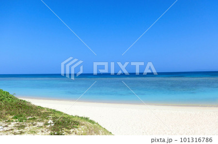 白い砂浜と青い海 白い砂浜と青い海 101316786