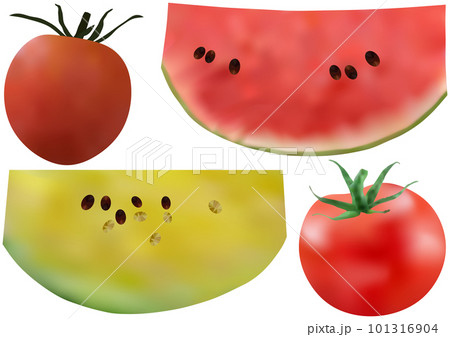 夏果実4種「赤色スイカ」「黄色スイカ」「ミニトマト」「トマト」 101316904