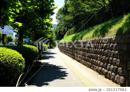青山通りの歩道(赤坂御用地沿い) 青山通りの歩道(赤坂御用地沿い) 101317061