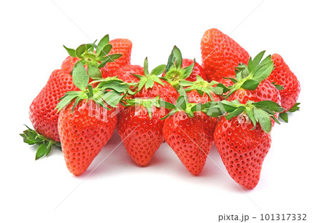 いちご(やよいひめ) いちご(やよいひめ) 101317332