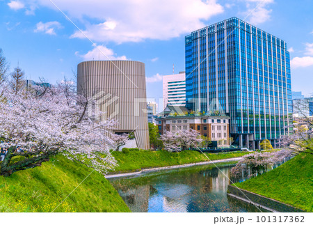 日本の東京都市景観 田安門附近から昭和館や満開の桜などを望む＝4月1日 101317362