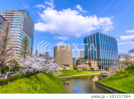 日本の東京都市景観 田安門附近から昭和館や満開の桜などを望む＝4月1日 101317364