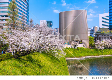日本の東京都市景観 田安門附近から昭和館や満開の桜などを望む＝4月1日 101317367