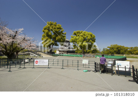 熊本城 宇土櫓建設工事による通行止め 101318010